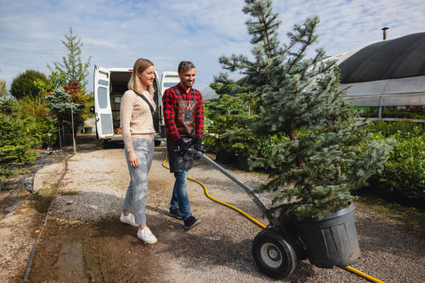 Best Tree Trimming Near Me  in Steele, MO